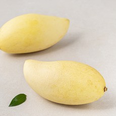 과일엔 태국산 골드 망고 2입, 700g, 1팩