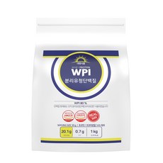 대명식품 분리유청단백질 초코맛, 1kg, 1kg