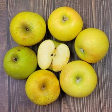 [더조은푸드] 황금사과 시나노골드 가정용 5kg (과수선택), 가정용 5kg 19-21과