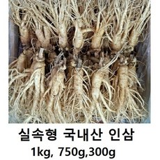 인삼 금산 국내산인삼 수삼 300g 750g 1kg 수삼 인삼, 세척원하지않아요(X), 600g(10-12뿌리)