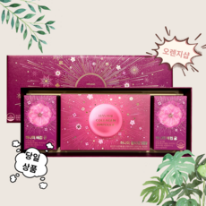 생활정원 하나미 비컴 궁 블루밍 에디션 /궁[84정X2병]+콜라겐 앰플[25ml(X14병], 선물포장+쇼핑백(5000원추가)