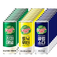 캐나다 드라이 3종 진저에일 클럽소다 토닉워터 / 하이볼 에이드 / 최신제조일자 빠른배송, [옵션03]{캐나다DRY_토닉워터250}, 30캔, 250ml