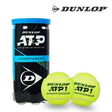 던롭 ATP 챔피언쉽 시합구 1캔 2볼 테니스볼 테니스공, 단품