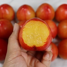 국내산 자두 대석자두 후무사 도담 추희 햇자두 2kg 왕자두, 푸띠 국내산 자두 풍개자두 2kg 특