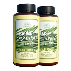멜로우네이쳐 국산 새싹보리 분말, 250g, 2개