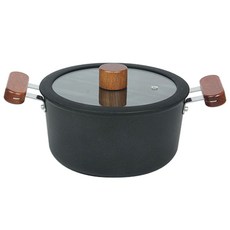 키친아트 FORT IH 인덕션 양수 냄비, 20cm, 혼합색상