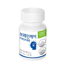 풀무원건강생활 브레인케어 은행잎추출물, 30정, 12g, 1개