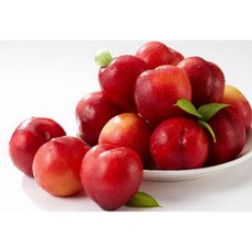 김천 자두 후무사 대석 하우스 소과 중과 고당도1Kg, 하우스 대석 자두 1Kg 중과(12과~20과), 1개