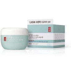 일리윤 히알루론 모이스춰 수분크림, 100ml, 1개