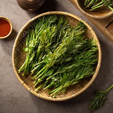산청 지리산 여름두릅500g _해오름약초, 1개