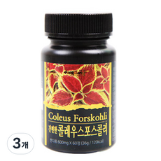 힐링 간편한 콜레우스포스콜리, 3개, 36g