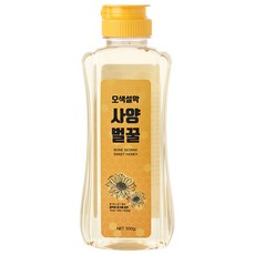 오색설악 사양벌꿀, 500g, 1개