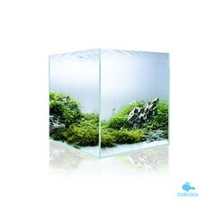 모비딕 30 하이큐브 누드어항 35cm(5T)