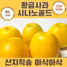 황금사과 노란사과 시나노골드 고당도 프리미엄 가정용 선물용 산지직송, 정품, 중소과 19-21과 5kg