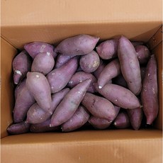 [당일발송] 맛있는 꿀고구마 (못난이) 10kg 베니하루카 못난이, 고당도 꿀고구마(못난이) 10kg (크기랜덤), 1개