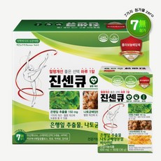 진센큐 은행잎추출물 나토키나제 혈액순환 혈행 기억력 개선 영양제, 600mg, 180정 6개월분
