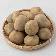 곰곰 밀양 수미 감자(햇), 2kg, 1개