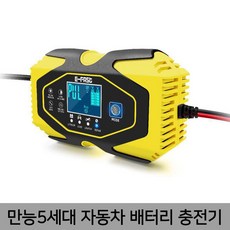 자동차 배터리 충전기 리튬납산 철리튬 만능 12V 24V, 보여진 바와 같이, 하나
