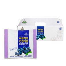 넛츠팜 하루하루 건강더함 블루베리넛츠 30개입, 600g, 1세트