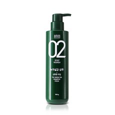[KT알파쇼핑]아모스 녹차실감 샴푸 지성용(산뜻한 타입) 500g