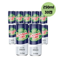 캐나다 드라이 250ml 30캔 1박스 클럽소다 진저에일 토닉워터 탄산수, 클럽소다 250ml 30캔.A2