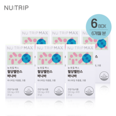뉴트립 혈당 밸런스 바나바 6박스 6개월 공복 조절 낮추는 바나잎 추출물 영양제 크롬, 뉴트립 전용 쇼핑백(1EA)