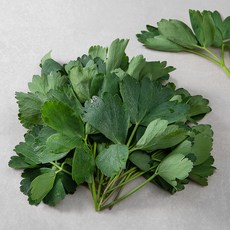 국내산 방풍나물, 300g, 1봉