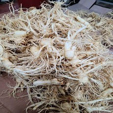 금산인삼 난발콩3 세척인삼, 1.세척700g, 1개