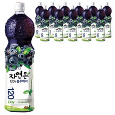 자연은 블루베리 주스, 1.5L, 12개입