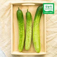 삼시세끼연구소 무농약 친환경 국산 오이 백오이 다다기오이특품 2입