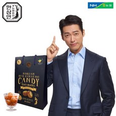 [농협홍삼 한삼인] 홍삼캔디 500g_1세트, 단품