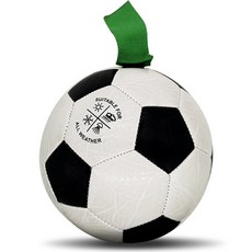 레드퍼피 강아지 터그 챔피언 축구공 + 펌프 세트, 화이트(축구공), 1개
