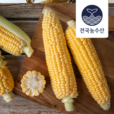 생 초당 옥수수 21brix 특품 미니 정품 첫수확 제주도 국내산 산지직송 택배 손질 10개 20개 해남 출고 전국농수산