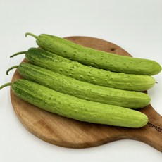 국내산 백오이 지오이 백다다기 오이 15개 30개 50개 1박스 [노블프레쉬], 3kg