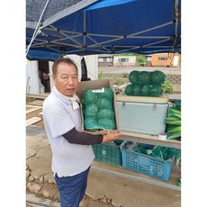 2023년 수확 해남미니밤호박 바밤단호박 단호박 밤호박 1 5kg 3kg 5kg 10kg 20kg, 20k