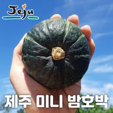 제주 산지직송 미니 밤호박 단호박 밤단호박 제주도 보우짱 호박 소과 로얄과 1kg 2kg 4.5kg 9.5kg, 3. 밤호박 2kg 소과, 1개