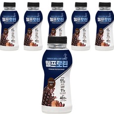 웰프로틴 초코, 40g, 6개