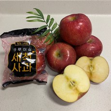 껍질째먹는사과 경북 홍로 씻어나온 못난이 흠집 후지 세척 꿀 사과 2~5kg, 가정용 중과 5kg 16~18과, 1개