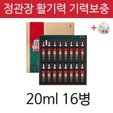 정관장 활기력 20ml 피로회복제 기력보충 영양제 설날 명절 연말 부모님 홍삼세트 선물 정관장 활기력 + 알약케이스증정