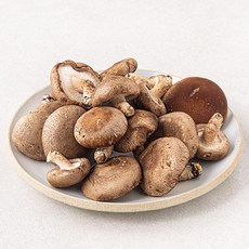못생겨도 맛있는 친환경 표고버섯, 1kg, 1박스