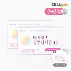 셀게이트 분말형 최초 인지질 코팅 글루타치온 더 화이트 글루타치온40 30포 4박스, 단품, 60g