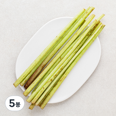 머위대, 200g, 5봉