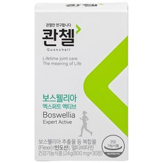 콴첼 보스웰리아 엑스퍼트 액티브 24g, 1개