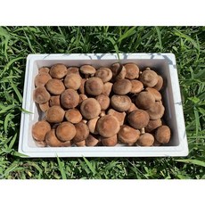 표고랑 표고버섯 1kg, 1kg(상), 1박스