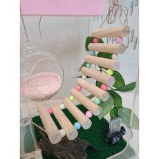 도마뱀 은신처 크레스티드게코 은신처 출렁다리 흔들다리 구름다리 (원형다리 + 파스텔구슬) 은신처 도마뱀 하우스게코 파충류 원목 나무 해먹 백업 장식용품 사육용품 유목 장식품