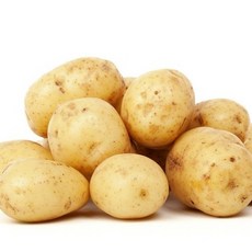 강원도 햇 두백감자 포슬포슬 감자 3kg 5kg 10kg, 두백감자 5kg 조림