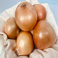 농부곳간 2023년산 햇 전남 무안 조생 햇 양파 1kg 3kg 5kg, 양파 1kg 중, 1개