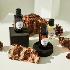 탐다오 퍼퓸 30ml 50ml 100ml 니치향수 비아퍼퓸, 스포이트 (앰버), 오드퍼퓸