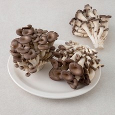 친환경 느타리버섯, 500g, 1개