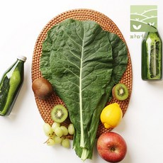 친환경마을 유기농 케일 즙용 1kg/2kg 신선초, 유기농 케일 2kg, 1개
